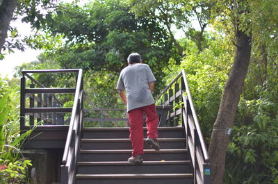 Rear view of man climbing staircase