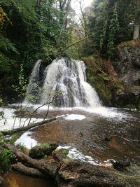 Scenic view of waterfall in forest