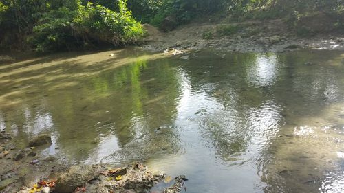 High angle view of lake amidst trees in forest