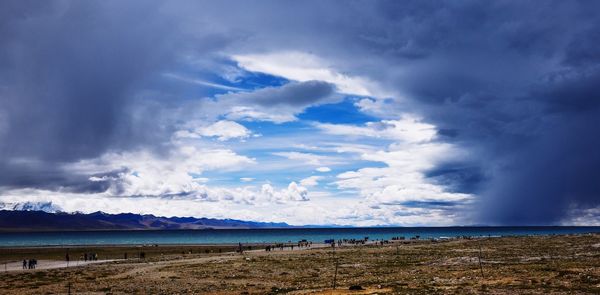 Scenic view of beach against blue sky