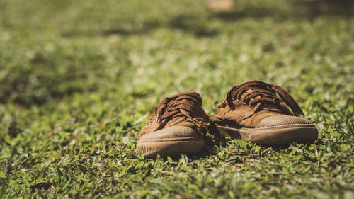 Close-up of shoes on grass