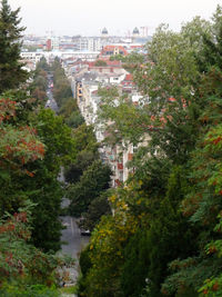 Trees and cityscape against sky