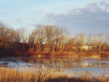 Scenic view of lake against sky