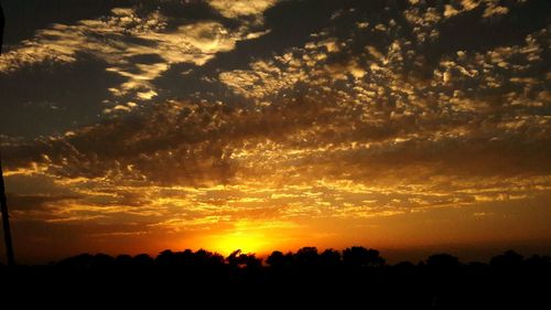 Silhouette trees against sky during sunset