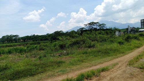 Scenic view of land against sky