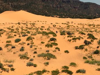 Scenic view of desert against sky