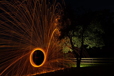 Light painting on tree at night