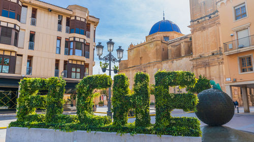 Trees and buildings in city