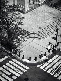 High angle view of buildings and trees in city