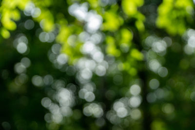 Defocused image of blurred lights