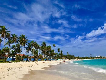 Palm trees on beach against blue sky