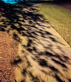 High angle view of shadow on field