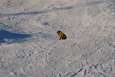 View of person snowboarding on snow covered landscape