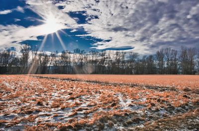 Scenic view of snow covered field against sky