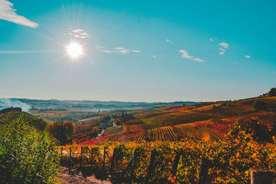 Scenic view of landscape against sky