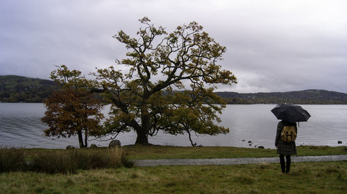 Rear view of man standing next to a tree on field by lake against sky in autumn 