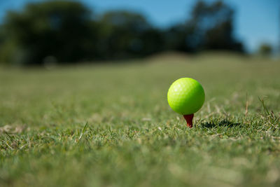 Close-up of green golf ball on field
