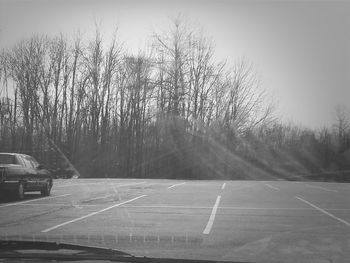 Empty road along trees