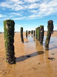 Wooden posts on beach