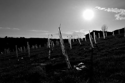 Panoramic shot of landscape against blue sky