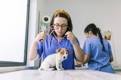 Doctor examining puppy at hospital