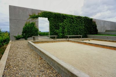 Plants by wall against building in city against sky