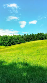 Scenic view of field against sky