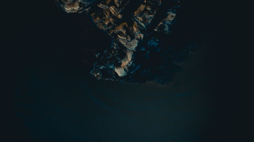 Close-up of jellyfish swimming in sea