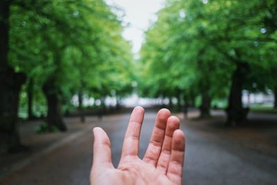 Close-up of woman hand against blurred trees