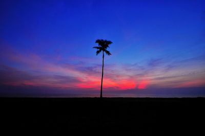 Low angle view of silhouette palm trees against sky during sunset