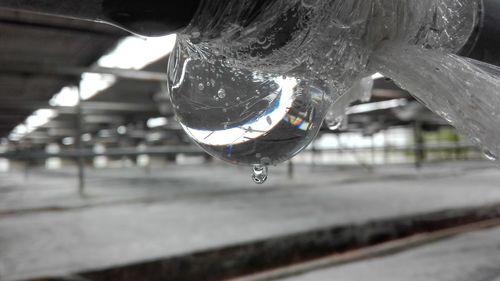 Close-up of water drops on roof