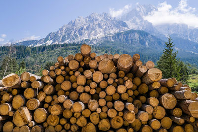 Stack of tree logs against the mountain backdrop