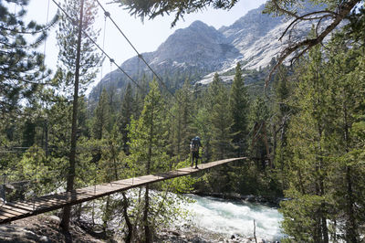 Man amidst trees in forest against sky