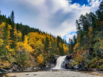 Scenic view of waterfall in forest against sky