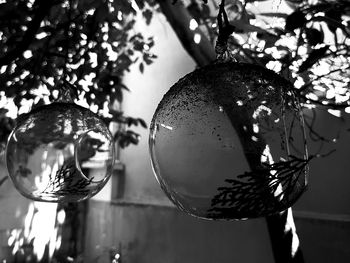 Close-up of christmas decoration hanging on tree