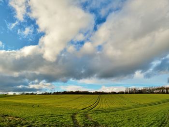 Scenic view of agricultural field against sky