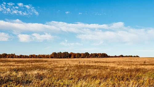 Scenic view of agricultural field against sky