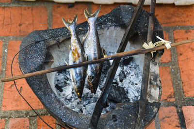 High angle view of fish in a makeshift grill