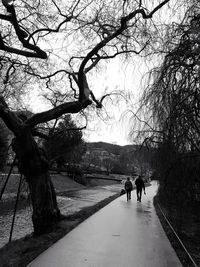 People walking on footpath by bare trees against sky