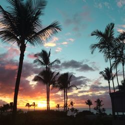 Silhouette palm trees at beach against sky during sunset