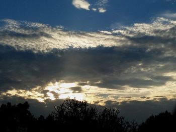 Low angle view of silhouette trees against sky