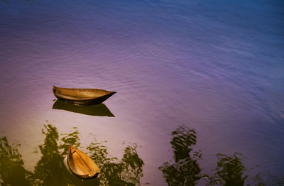 High angle view of plants floating on lake against sky