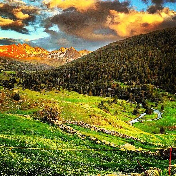 mountain, tranquil scene, landscape, tranquility, scenics, beauty in nature, nature, green color, field, sky, mountain range, grass, growth, rural scene, non-urban scene, agriculture, tree, idyllic, high angle view, hill