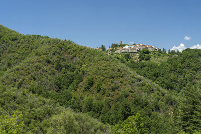 Panoramic shot of trees and buildings against sky