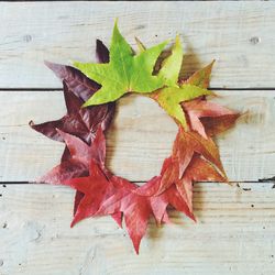 Close-up of wooden leaves on wooden wall