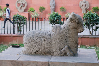 Statue against potted plants