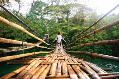 Rear view of man walking on footbridge in forest