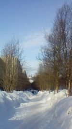 Snow covered bare trees against sky