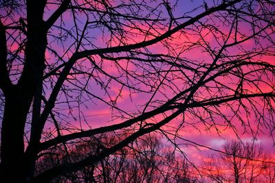 Low angle view of silhouette tree against sky during sunset