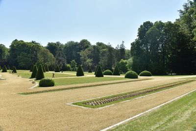 Scenic view of trees on field against clear sky